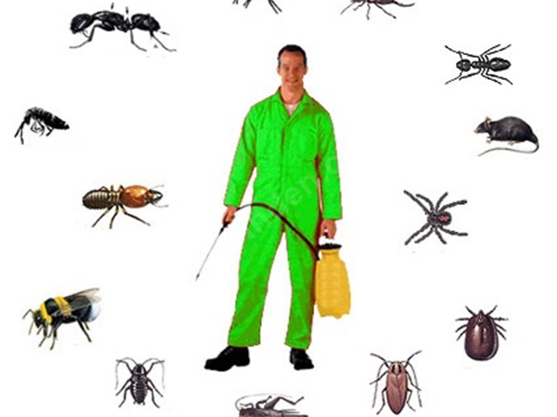 Sarıveliler Böcek İlaçlama