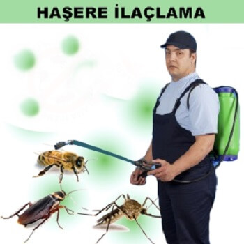Sarıveliler Böcek İlaçlama